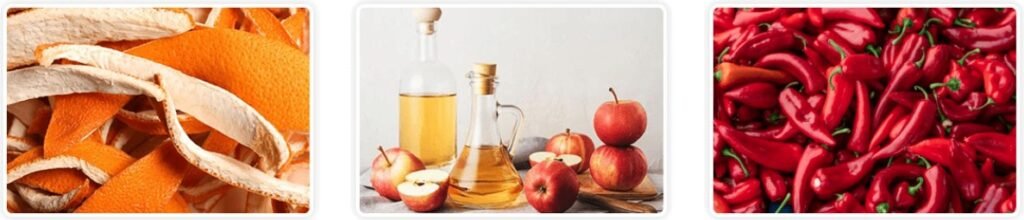 CitrusBurn Dieta CitrusBurn Dieta